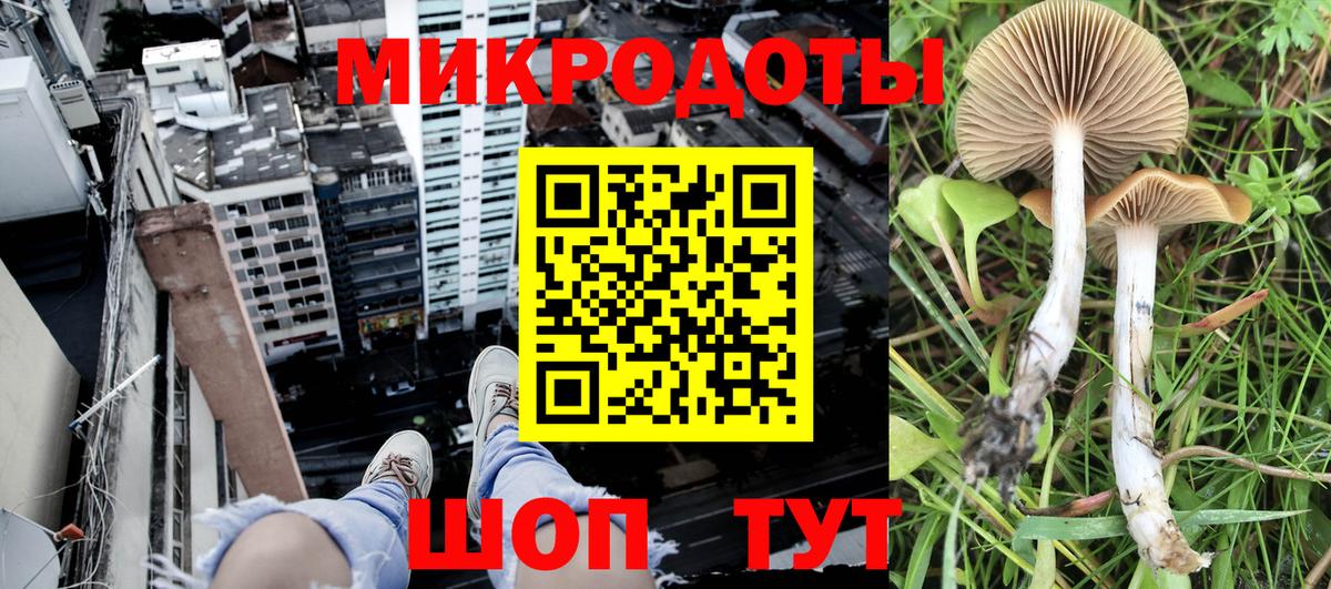 Галлюциногенные грибы Magic Shrooms  Вход с VPN  Вязьма 